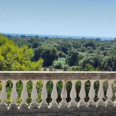 Villa Filomena Montecorice Exterior photo