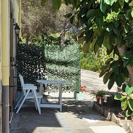 Villa Filomena Montecorice Exterior photo