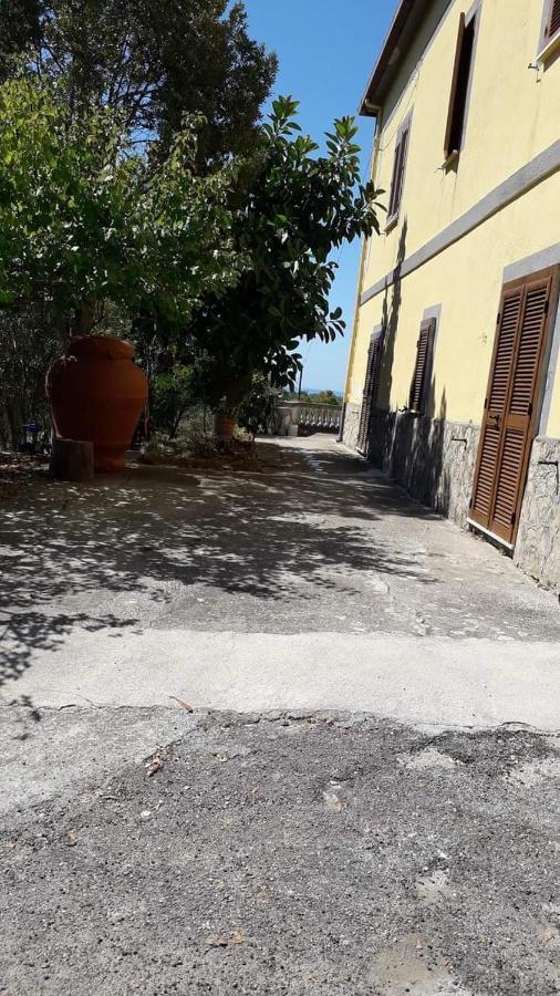 Villa Filomena Montecorice Exterior photo