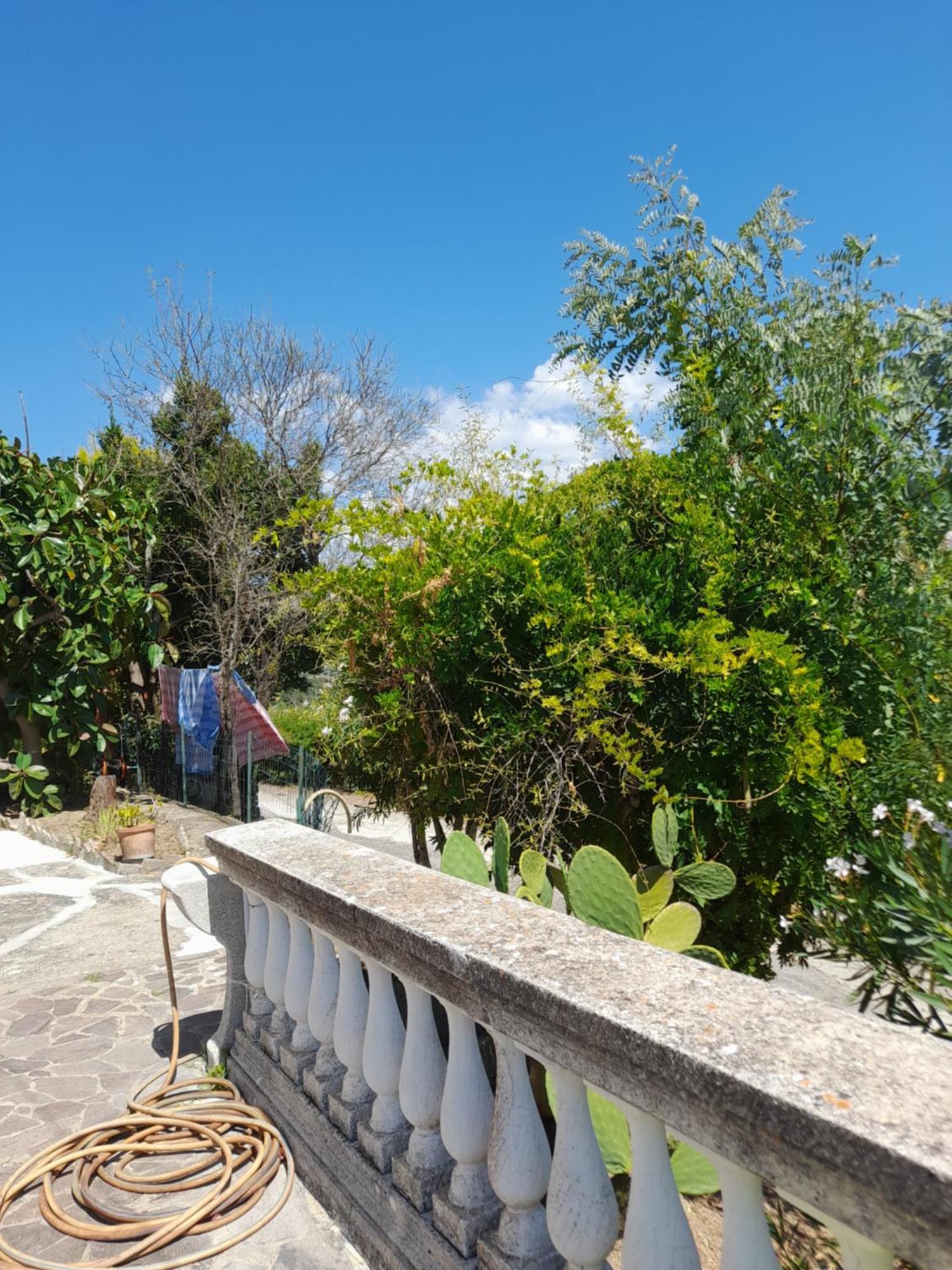 Villa Filomena Montecorice Exterior photo